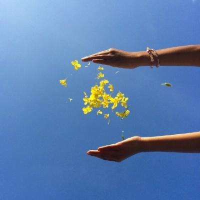 任你博手机app下载截图