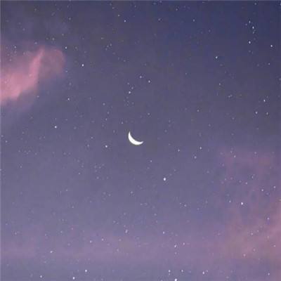 安博体育的最新版本截图