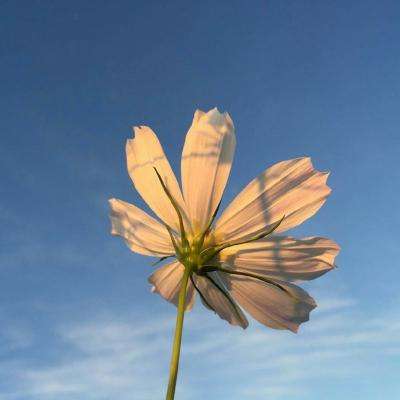 任你博手机app下载