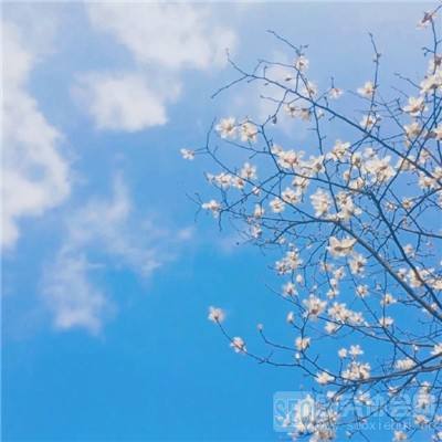 乐发彩票vl截图