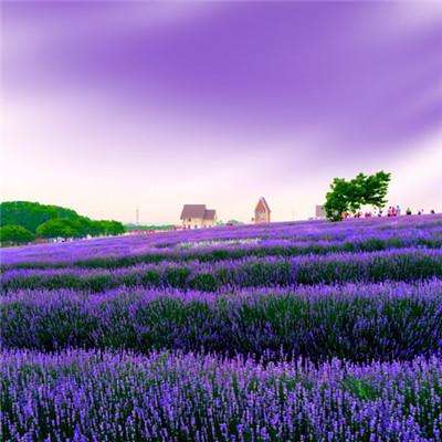 天博体育官方平台入口app下载